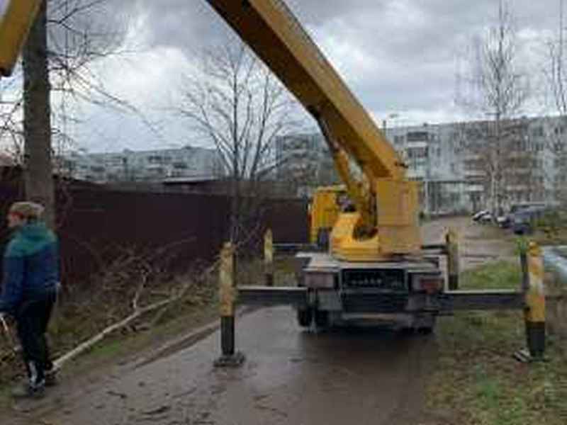 Сруб деревьев в Москве