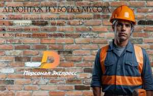 Демонтаж и уборка мусора - фото 2