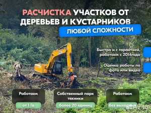 Расчистка территорий от деревьев и пней от 1 Га в Воронеже
