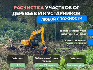 Расчистка территорий от деревьев и пней от 1 Га в Владимире