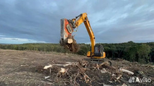 Расчистка территорий от деревьев и пней от 1 Га - фото 2