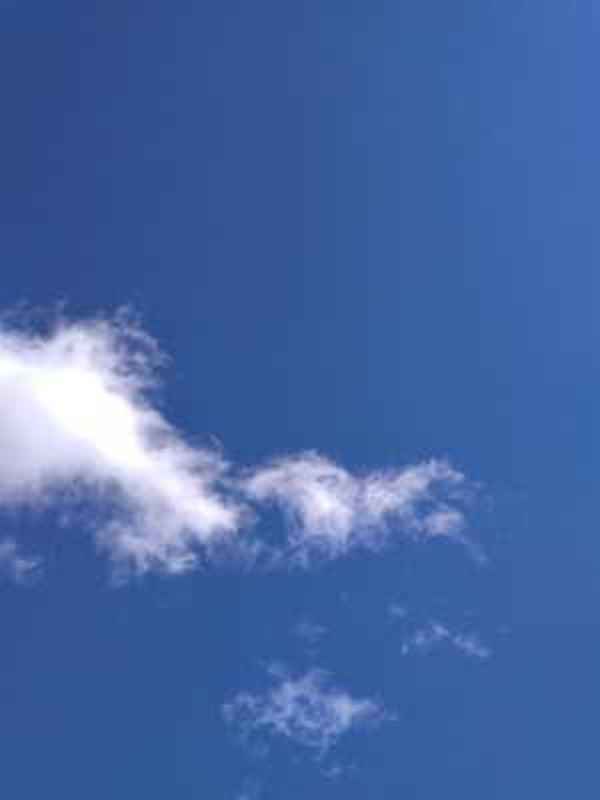 Сантехнически роботы в Москве