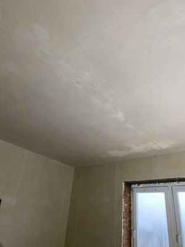 Механизированная штукатурка стен и потолков 2336 - фото 2