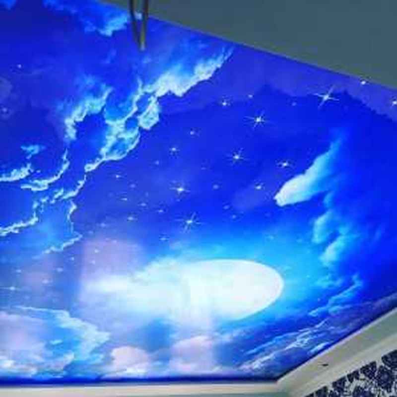 Натяжные потолки 2756 в Москве