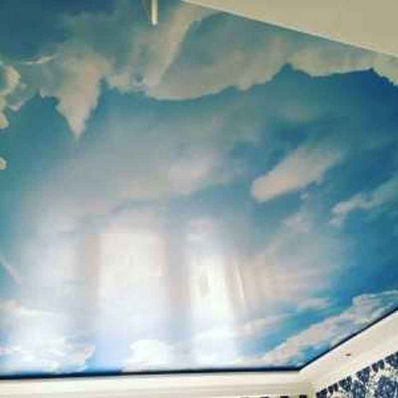 Натяжные потолки 2756 - фото 2