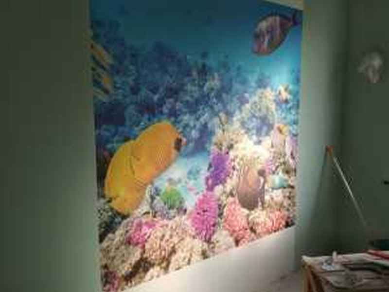 Ремонт 2886 - фото 2