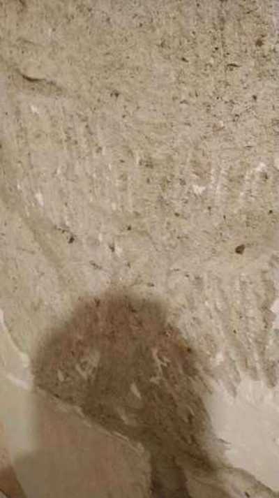 Демонтаж квартир 2974 - фото 2