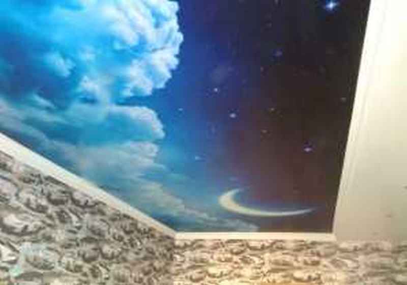 Натяжные потолки 3041 в Москве