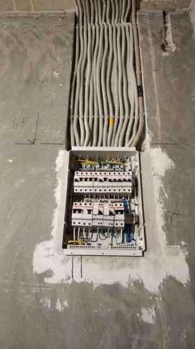 Электрик 3961 - фото 2