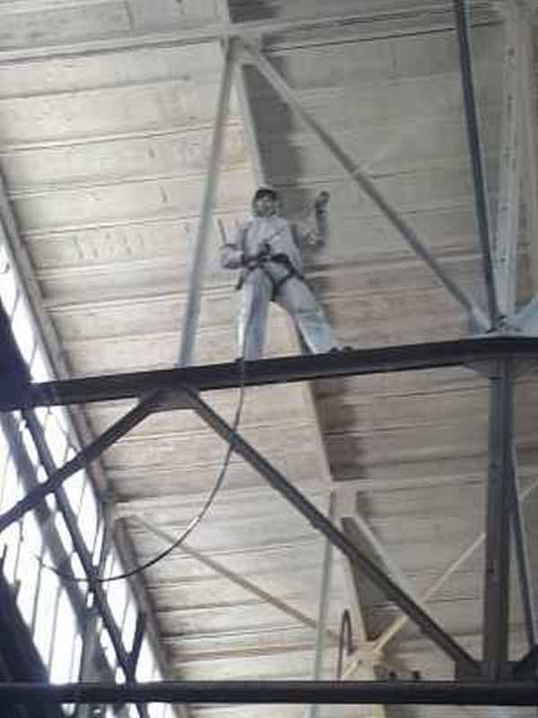 Альпениские работы - фото 2