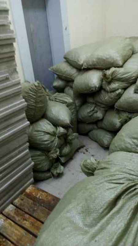 Разнорабочие 5535 - фото 2