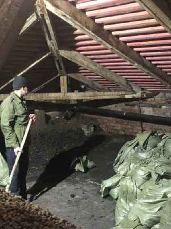 Разнорабочие круглосуточно - фото 2